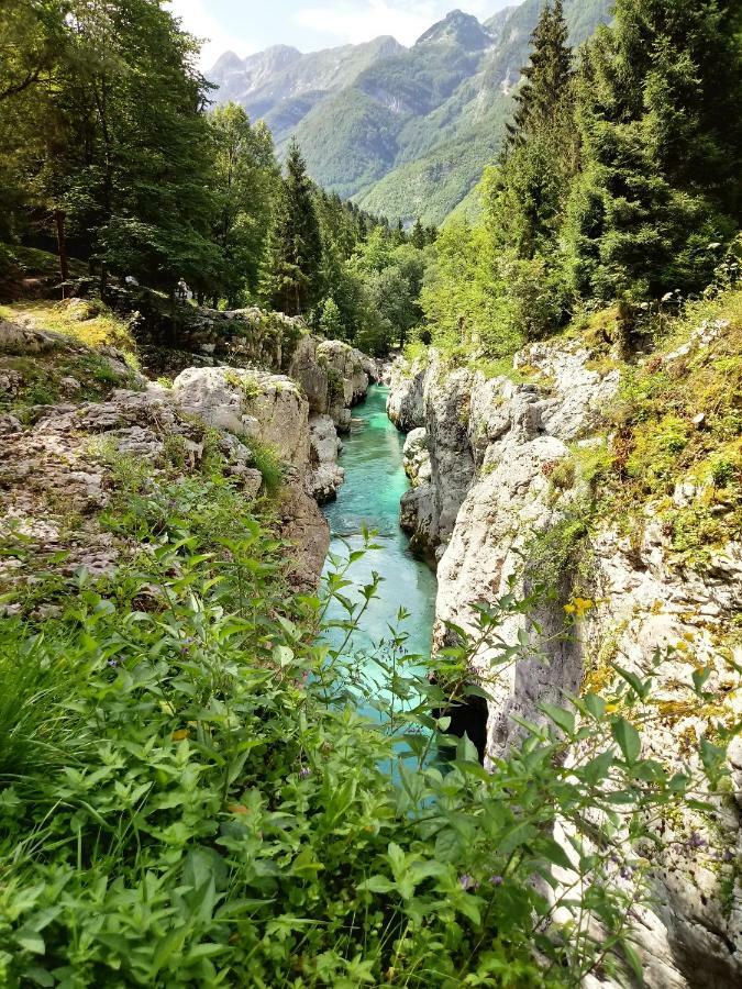 Beti Blu, Kaninska Vas Bovec Exteriér fotografie